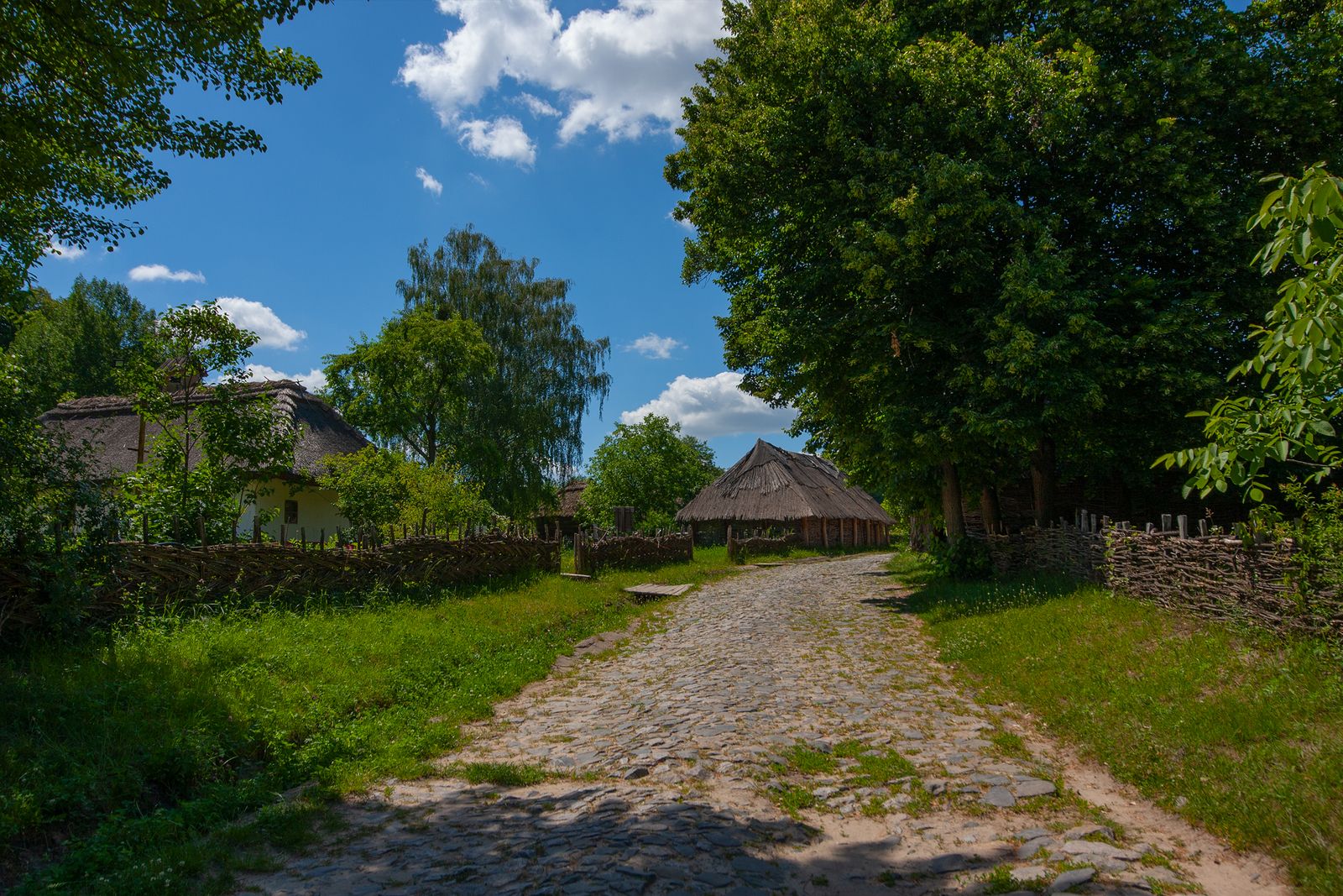 Neacsu Tudor — Küstenstraßen und Landwege — die Karte hält Schritt, wo immer Sie roamen.