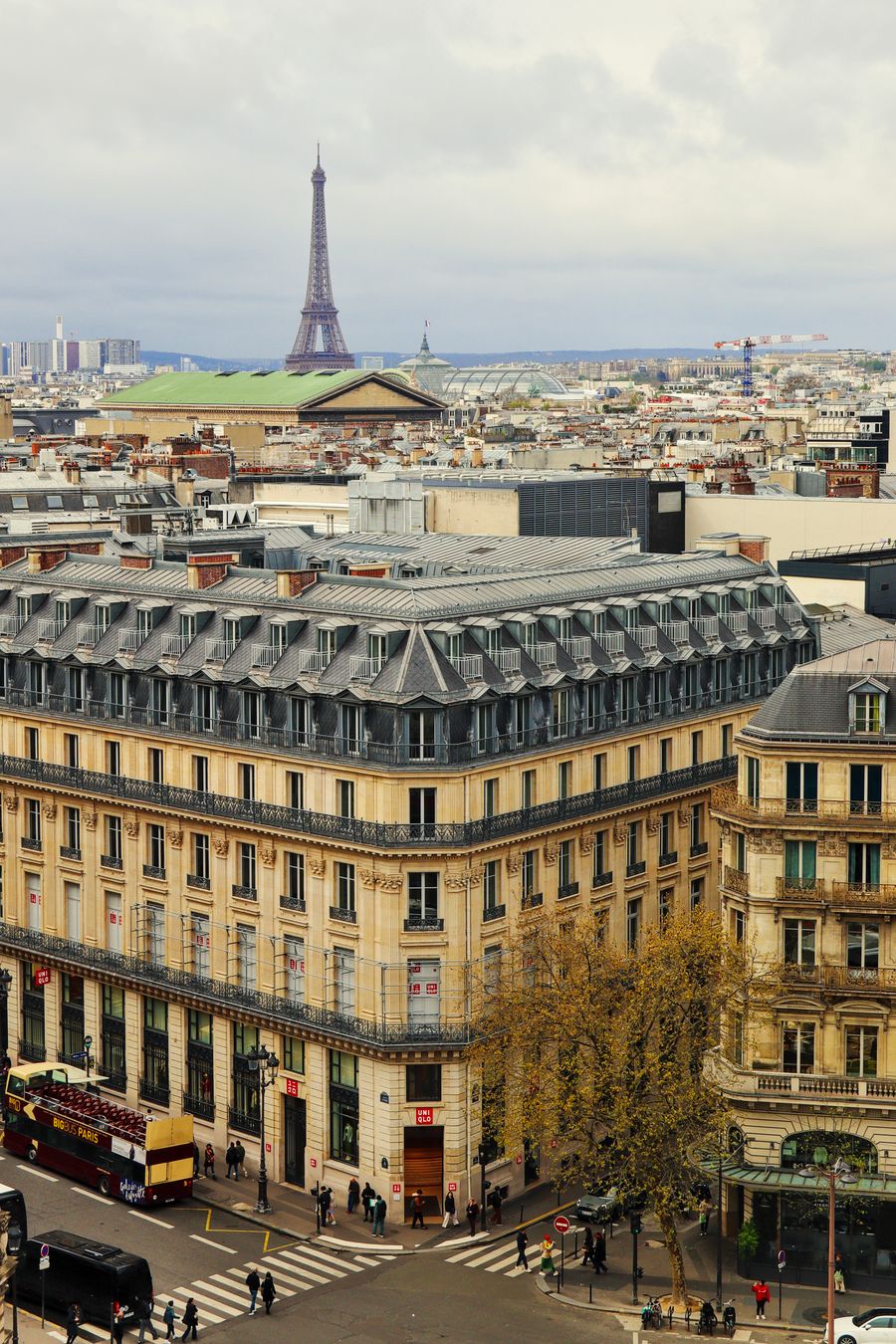 eiffel tower and building — Free Wi-Fi Finder remembers, so repeat travelers barely type.