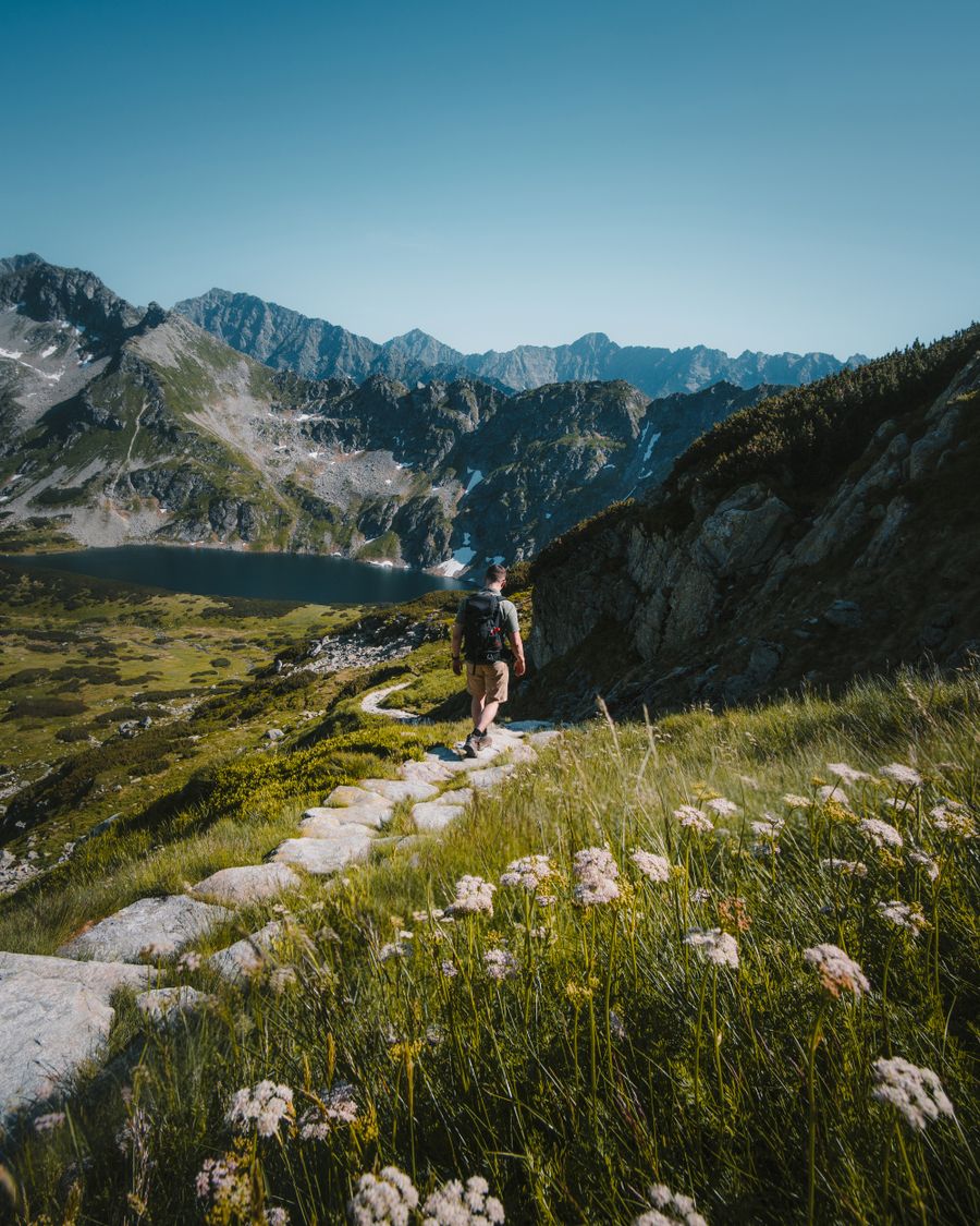 man walking on stone pathway — Daten, Tage, Ziel — die drei Dinge auf jeder Tarifkarte.