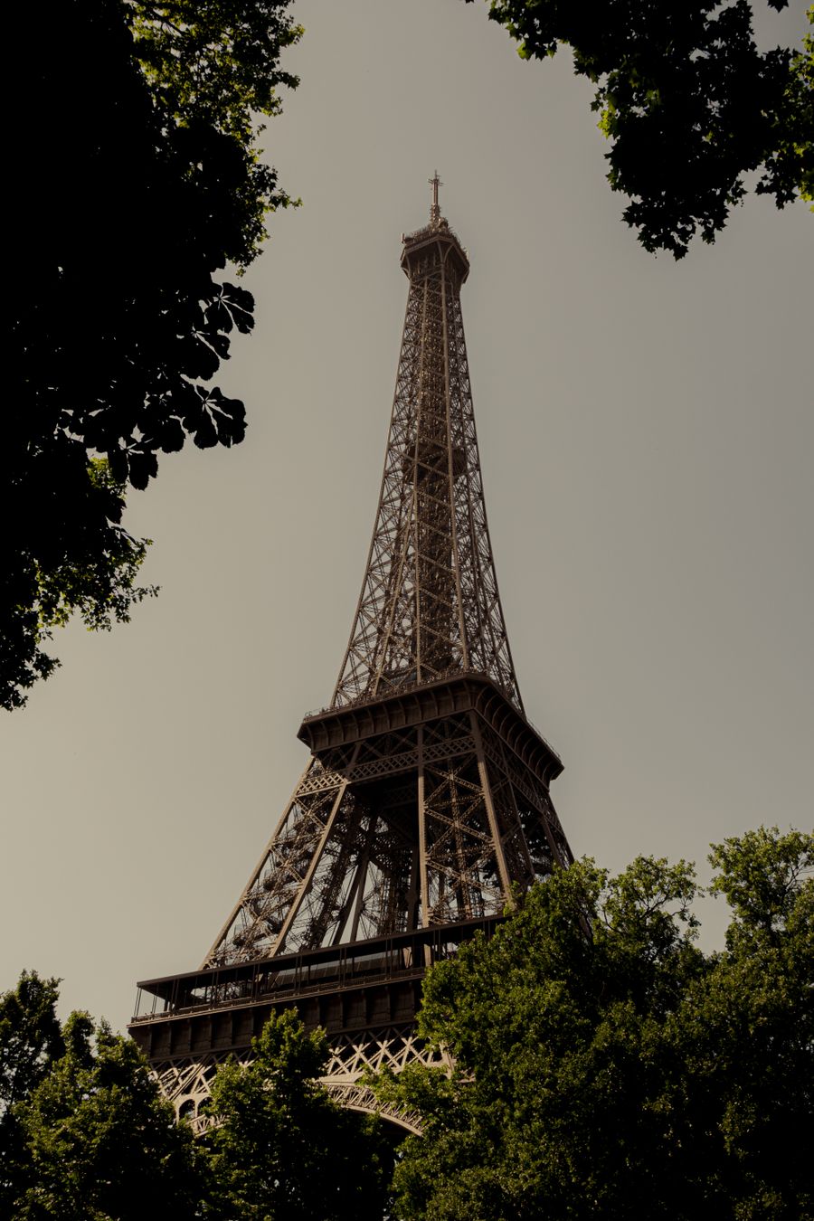 iconic eiffel tower in summer foliage — Real journeys, real connectivity — this is what the product is for.
