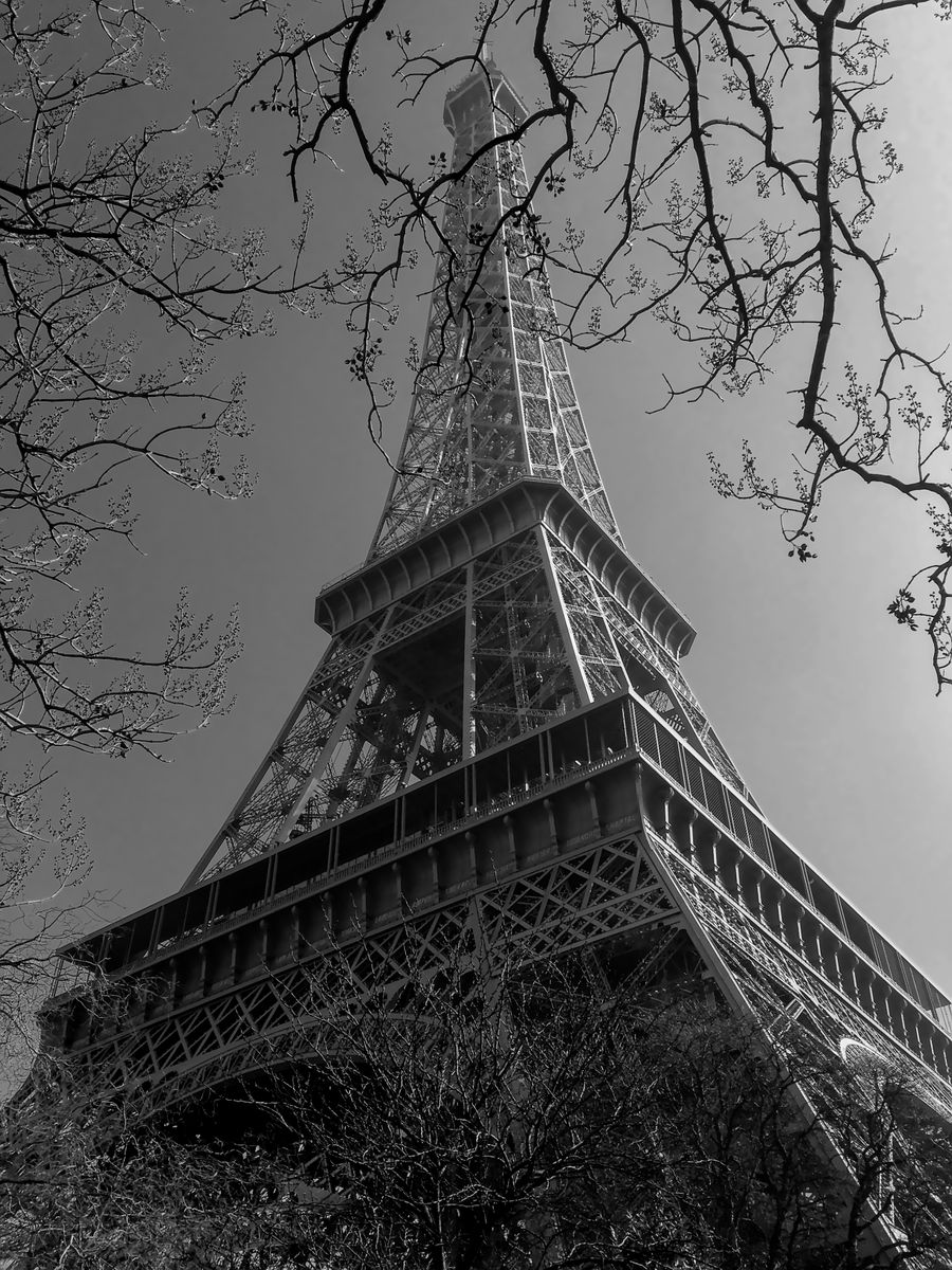 black and white eiffel tower framed by trees — Küstenstraßen jenseits von Switzerland: Die Karte hält Schritt, wo immer Sie roamen.