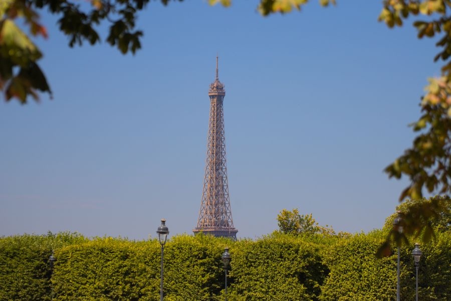 eiffel tower view through lush greenery in paris — The group chat stays live across every border you cross.